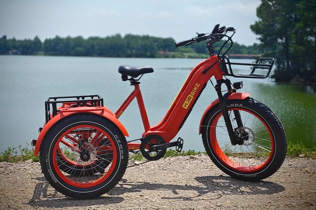TriHauler Pro Cargo Rear-Drive Fat Tire Etrike (Fully Assembled)