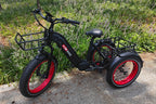 TriHauler Pro Cargo Rear-Drive Fat Tire Etrike (Fully Assembled)
