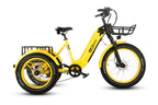 TriHauler Pro Cargo Rear-Drive Fat Tire Etrike (Fully Assembled)