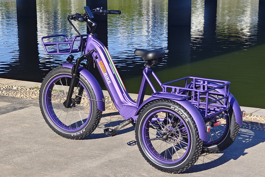 TriHauler Pro Cargo Rear-Drive Fat Tire Etrike (Fully Assembled)