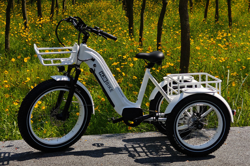TriHauler Pro Cargo Rear-Drive Fat Tire Etrike (Fully Assembled)