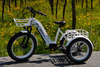 TriHauler Pro Cargo Rear-Drive Fat Tire Etrike (Fully Assembled)