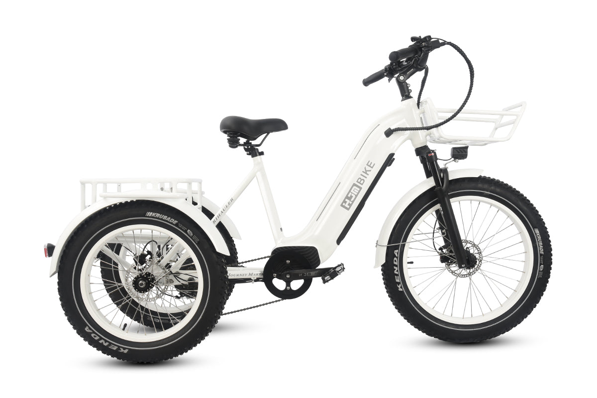 TriHauler Pro Cargo Rear-Drive Fat Tire Etrike (Fully Assembled)