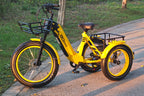 TriHauler Pro Cargo Rear-Drive Fat Tire Etrike (Fully Assembled)