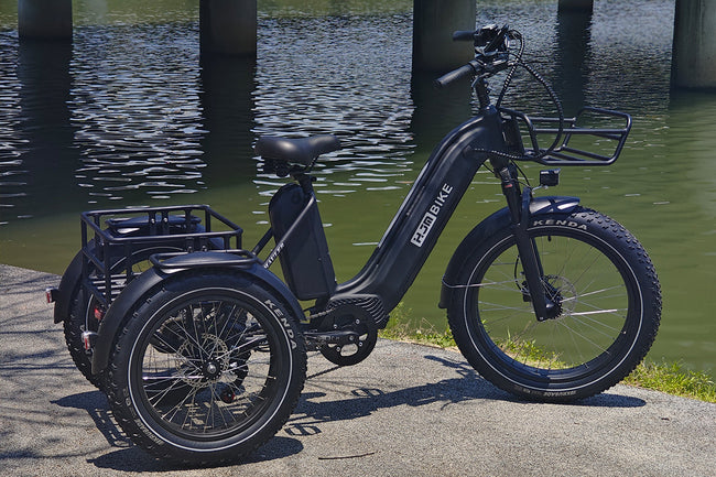 TriHauler Pro Cargo Rear-Drive Fat Tire Etrike (Fully Assembled) Main Image